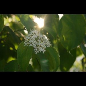 Meet your Posher, Brianne